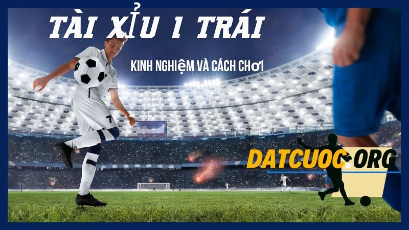 Tài xỉu 1 trái nghĩa là gì?