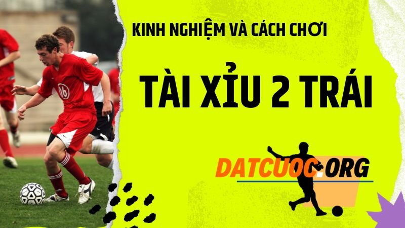 Những mẹo khi tham gia cược tài xỉu 2 trái