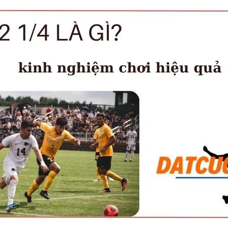 Kèo Tài xỉu 2 1/4 là gì? Cách bắt kèo tài xỉu 2 1/4 ăn chắc 2024