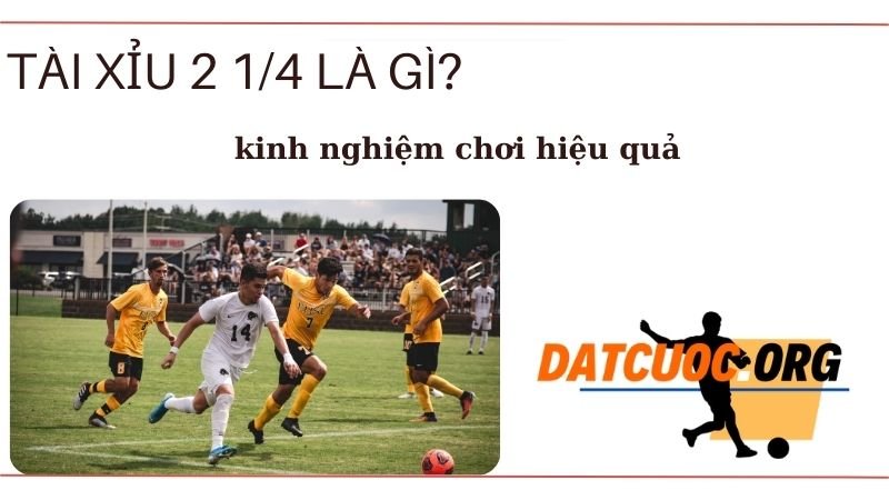 Kèo tài xỉu 2 1/4 là gì?