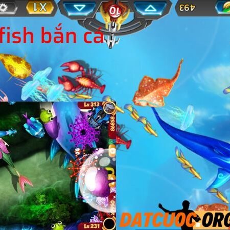 Rainbow fish bắn cá – Hướng dẫn cách chơi và chiến thuật hay nhất