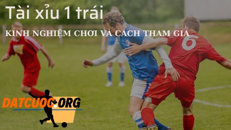 Kinh nghiệm chơi cá cược kèo tài xỉu 1 trái dễ thắng