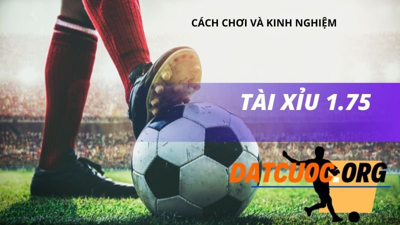 Kinh nghiệm khi đặt cược kèo Tài Xỉu 1.75