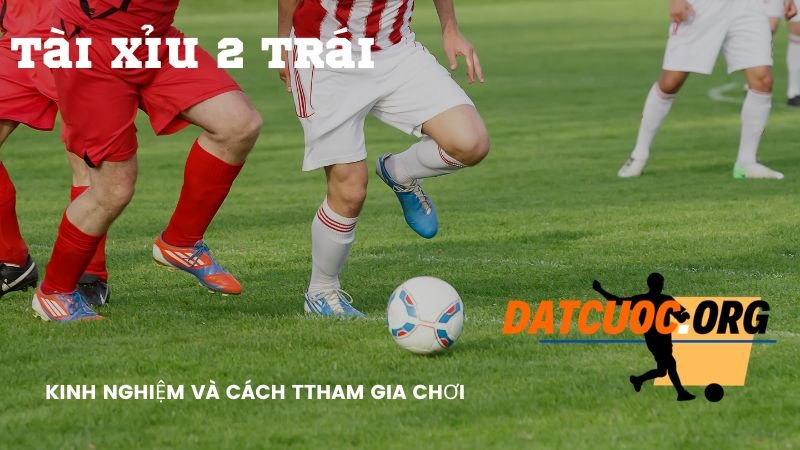 Tài xỉu 2 trái nghĩa là gì?