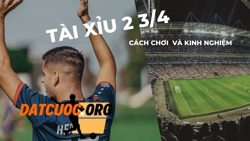 Cách hiểu về kèo tài xỉu 2 3/4 một cách chính xác nhất