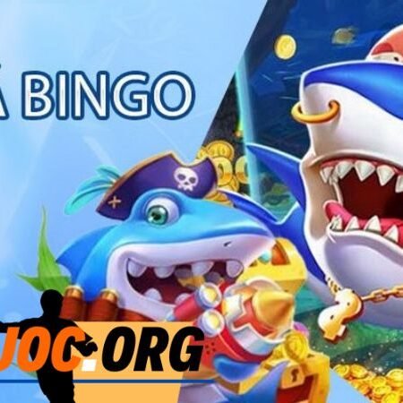 Bắn cá Bingo là gì và phương pháp chơi hiệu quả 100%