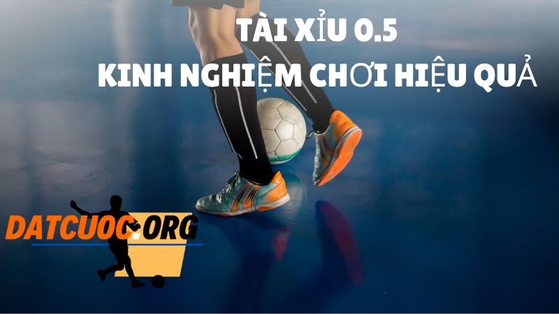 Khảo sát một cách chi tiết thông tin về trận đấu.