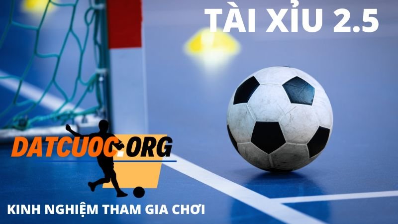  Tài xỉu 2.5 nghĩa là gì?