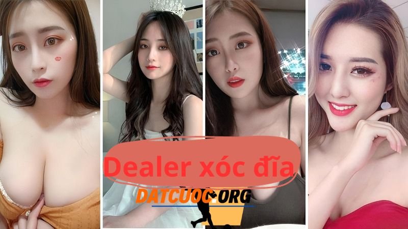 Dealer trong trò chơi xóc đĩa là gì