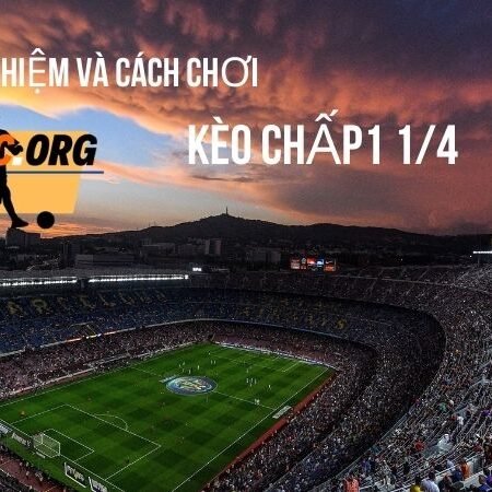 Kèo chấp 1 1/4  là gì? Cách đọc kèo và những lưu ý không thể bỏ qua