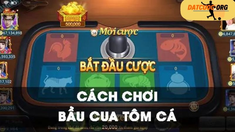 Cách Chơi Bầu Cua Cá Cọp - Thắng Lớn Năm 2024