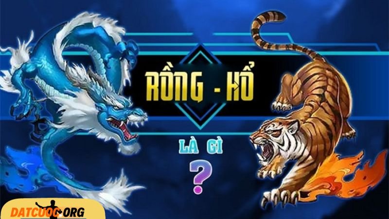 Tìm Hiểu Thông Tin Về Rồng Hổ