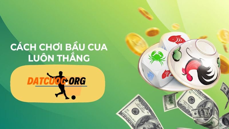 Cách Chơi Bầu Cua Luôn Thắng Cho Người Mới Tham Gia