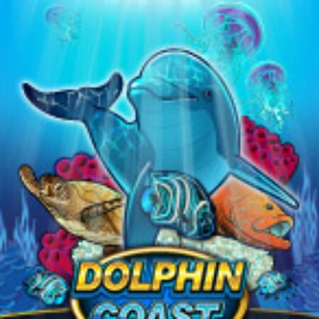 Kho Báu Cá Heo – Dolphin Coast Slot