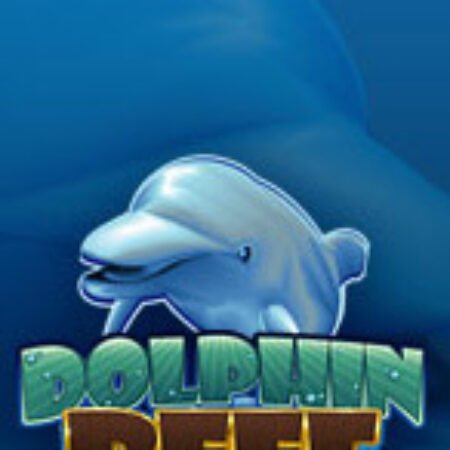 Dolphin Reef Slot