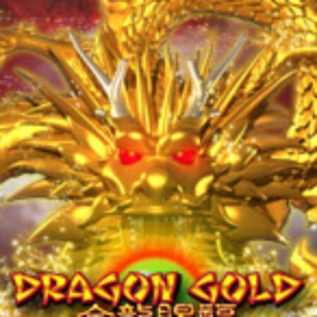 Dragon Gold Slot