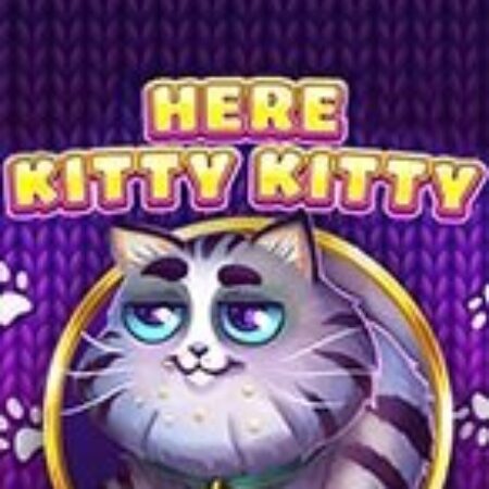 Mèo Con Ngỗ Ngược – Here Kitty Kitty Slot