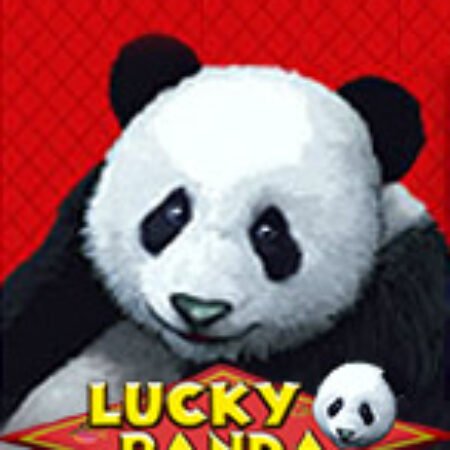 Lucky Panda Slot