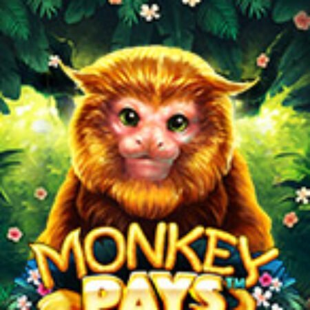 Monkey Pays Slot