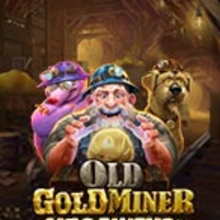 Mỏ Vàng Bị Lãng Quên – Old Gold Miner Megaways Slot