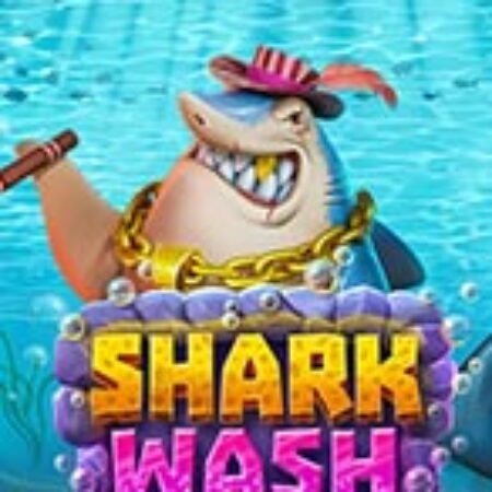 Shark Wash Slot