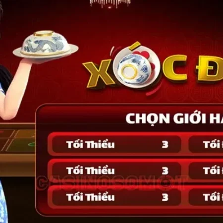 Trải nghiệm xóc đĩa New88 – Các tính năng đặc biệt và cách tận dụng